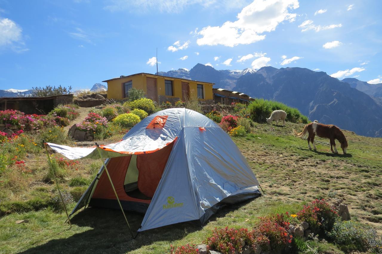 La Granja Del Colca Villa Cabanaconde Exteriör bild