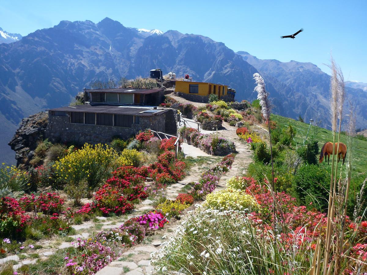 La Granja Del Colca Villa Cabanaconde Exteriör bild