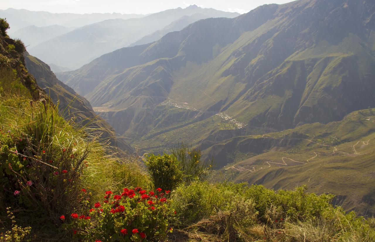 La Granja Del Colca Villa Cabanaconde Exteriör bild