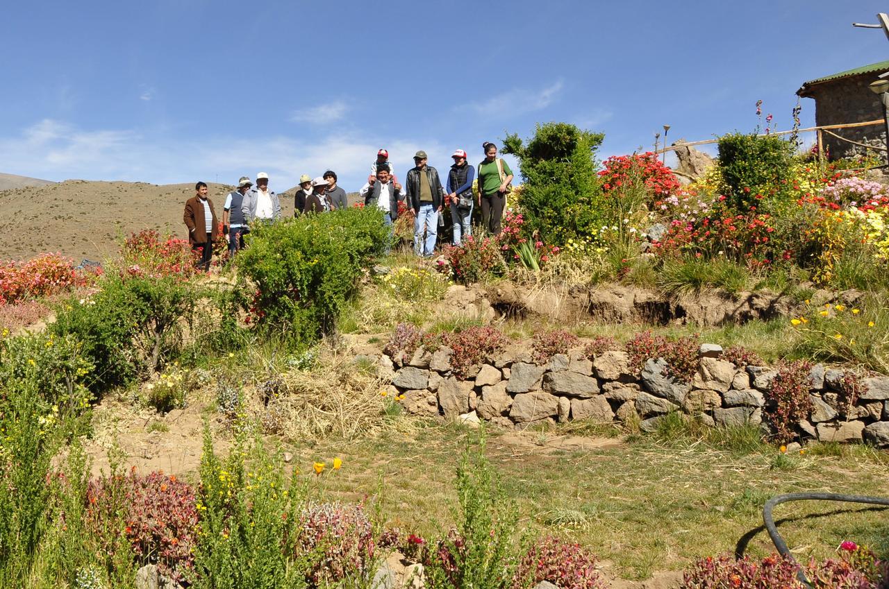 La Granja Del Colca Villa Cabanaconde Exteriör bild
