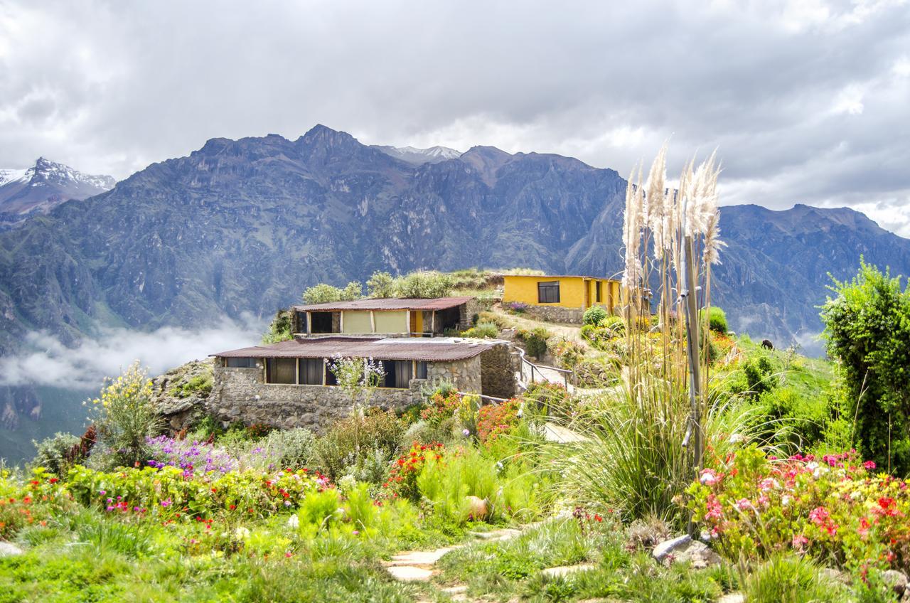 La Granja Del Colca Villa Cabanaconde Exteriör bild